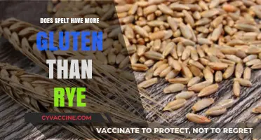 Unraveling the Gluten Content: Spelt vs. Rye Comparison