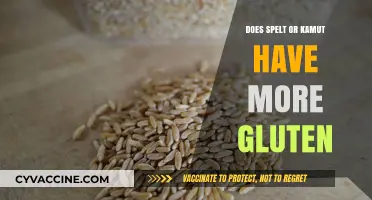 Unraveling the Gluten Content: Spelt vs. Kamut Comparison