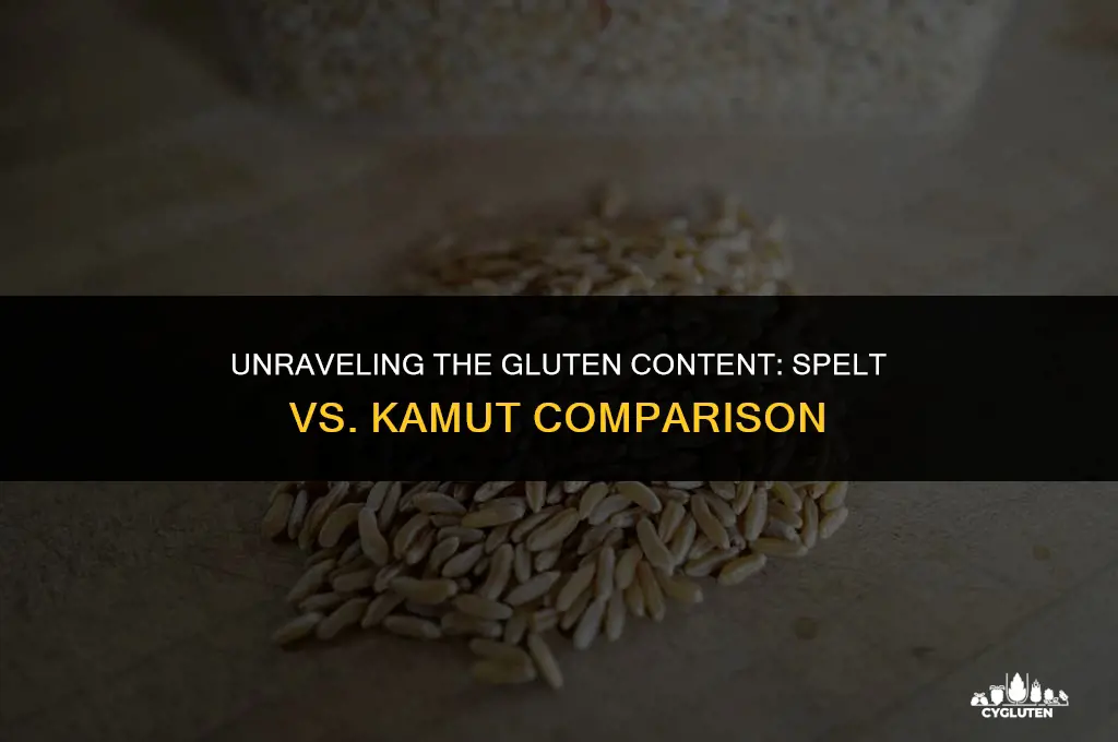 does spelt or kamut have more gluten