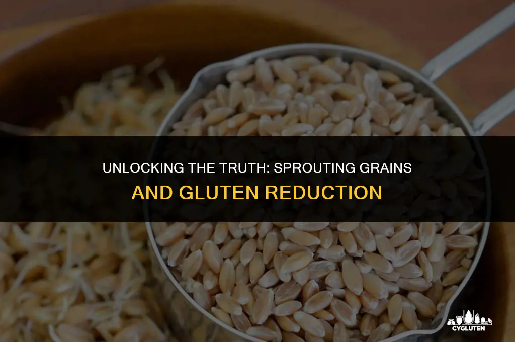 does sprouring your own grains remove gluten