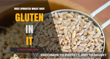 Unveiling the Truth: Gluten Presence in Sprouted Wheat Explained