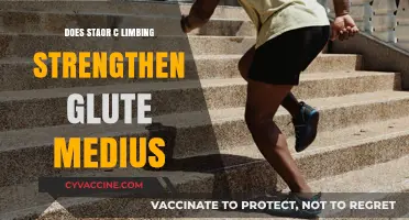 Unlocking the Power of Stair Climbing: A Glute Medius Perspective