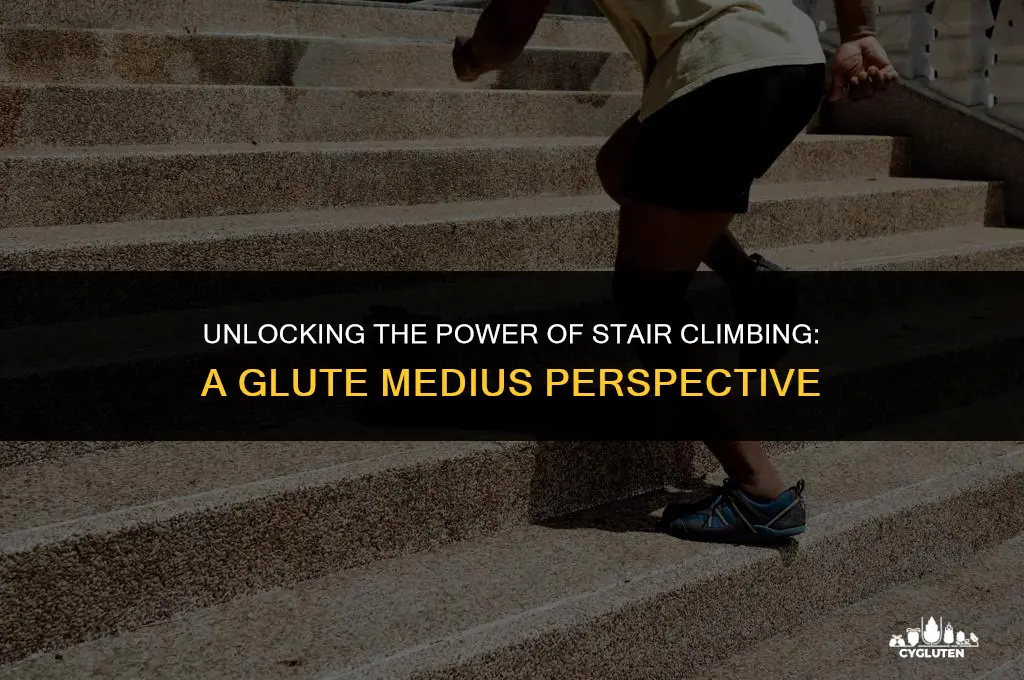 does staor c limbing strengthen glute medius