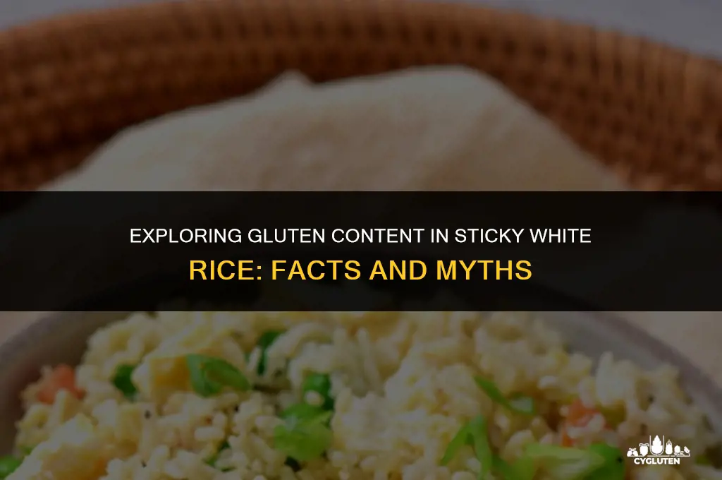 does sticky white rice have gluten in it