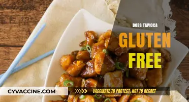 Is Tapioca Gluten-Free? A Clear Answer for Your Diet