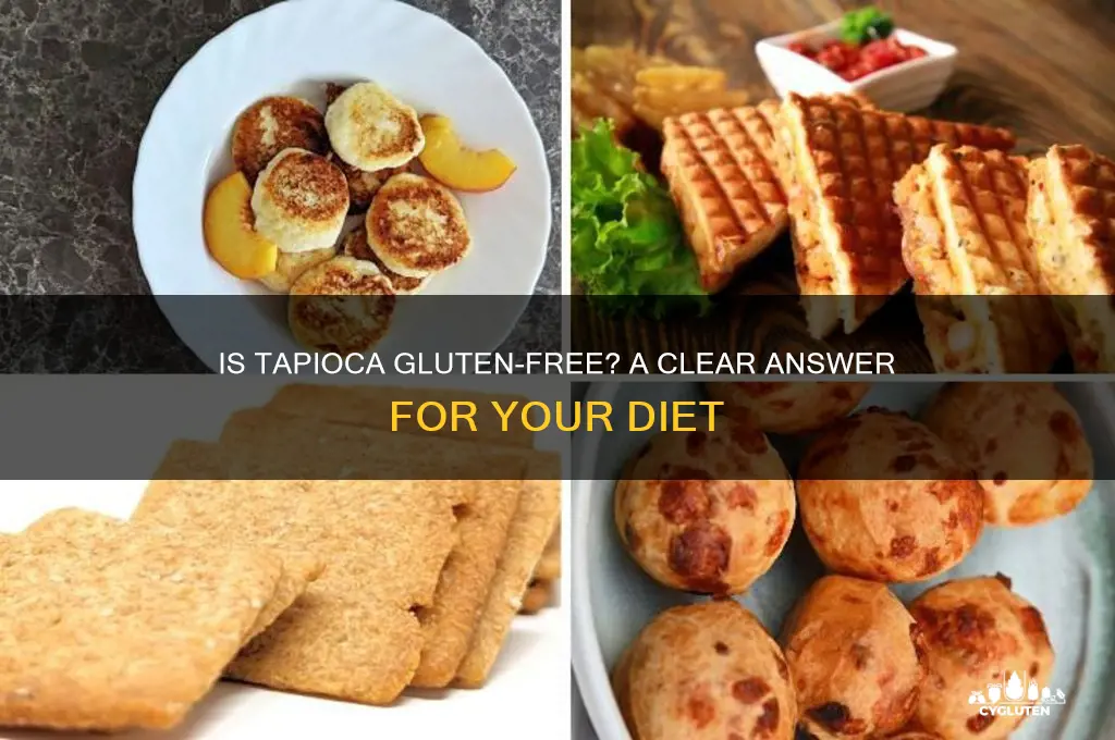 does tapioca gluten free