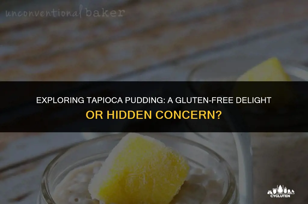 does tapioca pudding have gluten in it