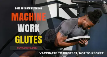 Sculpting Strong Glutes: The Effectiveness of Back Extension Machines