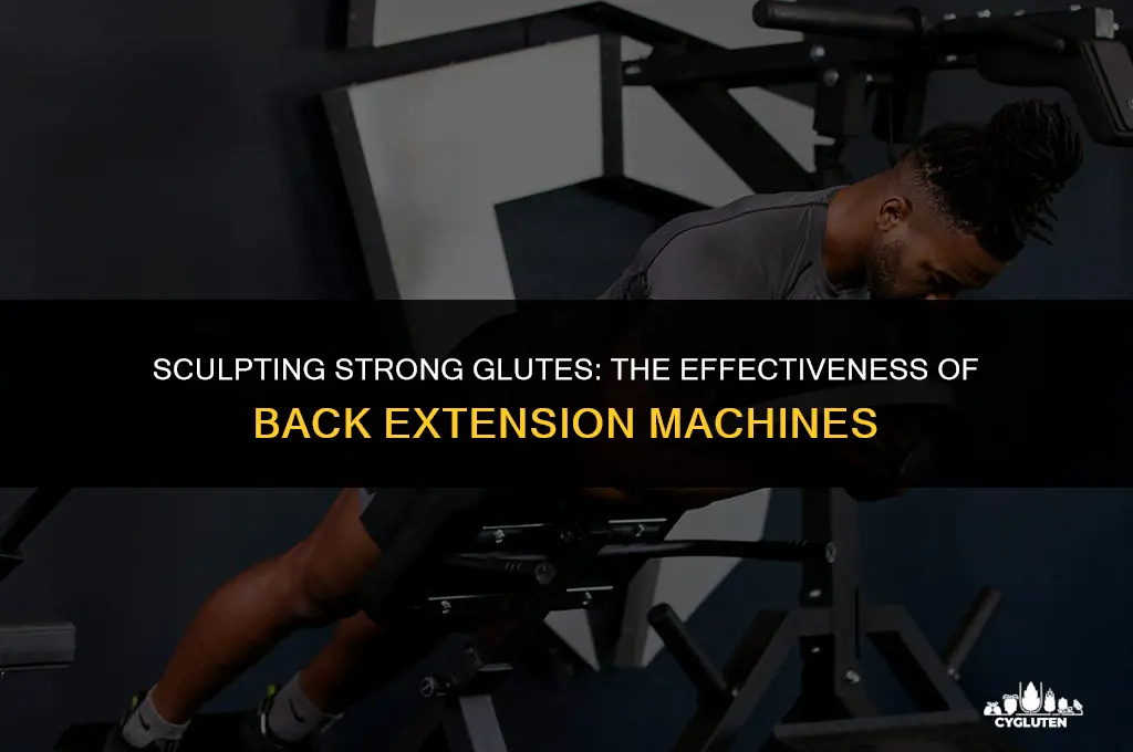 does the back extension machine work glutes