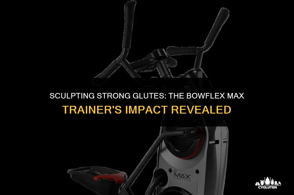 does the bowdlex max trainer help your glutes