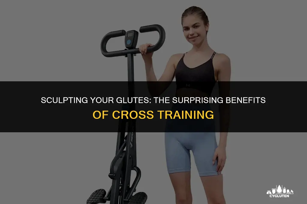 does the cross trainer work your glutes