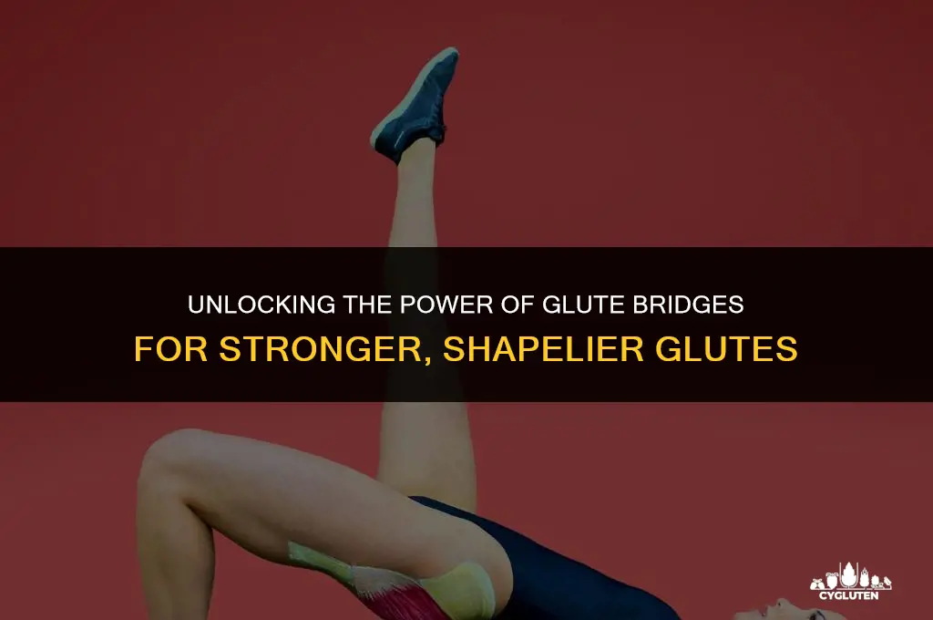 does the glute bridge work the glutes