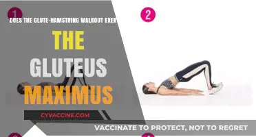Unlocking the Power of Glute-Hamstring Walkouts for Maximum Glute Gains