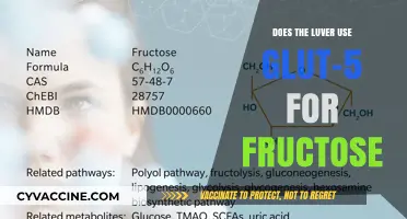 Decoding Fructose Transport: The Role of GLUT5 in the Liver