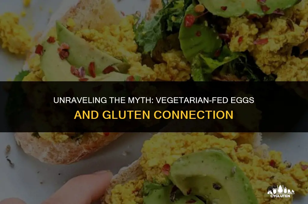 does vegetarian fed eggs mean gluten fed