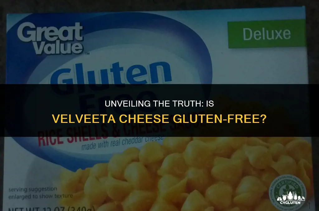 does velveeta cheese have gluten in it