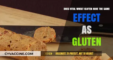 Exploring the Effects: Vital Wheat Gluten vs. Regular Gluten