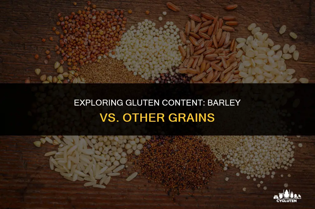 does what have more gluten than barley