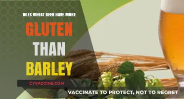 Exploring Gluten Content: Wheat Beer vs. Barley Beer