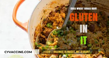 Unveiling the Truth: Wheatgrass and Gluten Content Explained