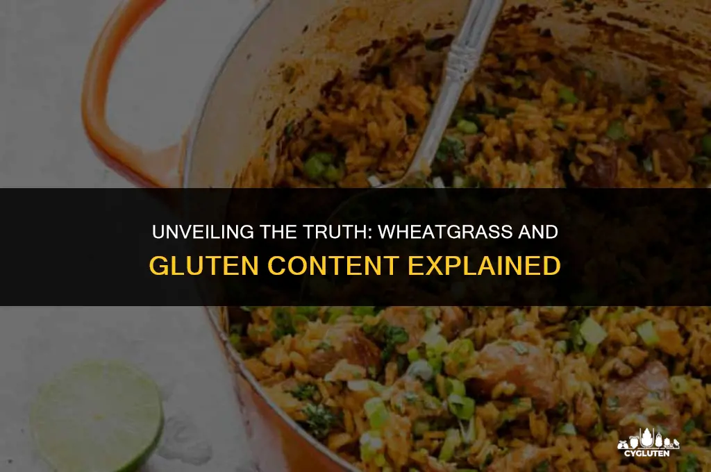 does wheat grass have gluten in it