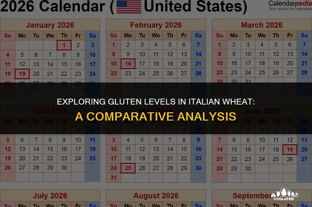 does wheat in italy have less gluten