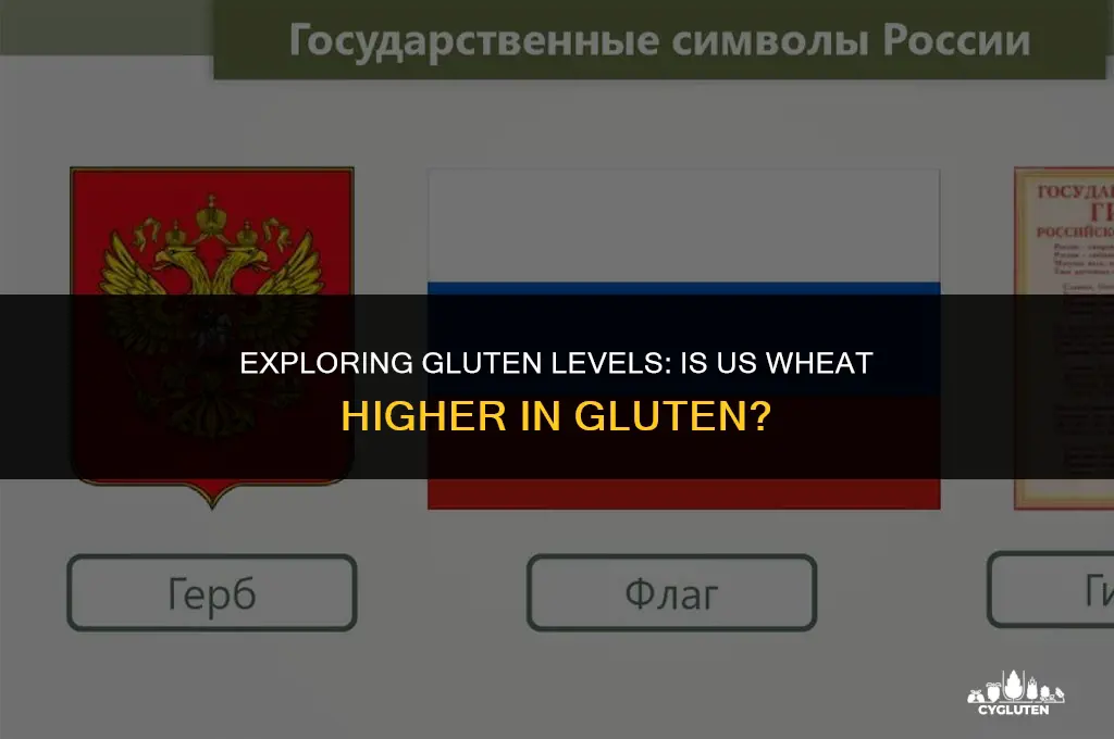 does wheat in the us have more gluten