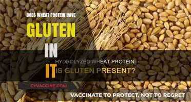 Unraveling the Mystery: Wheat Protein and Gluten Content Explained