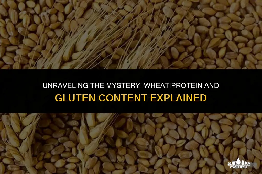 does wheat protein have gluten in it
