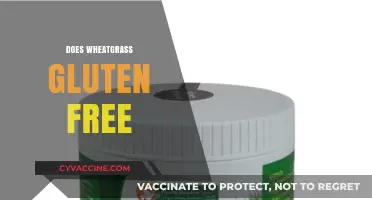 Is Wheatgrass Gluten-Free? Unraveling the Truth for Health-Conscious Eaters