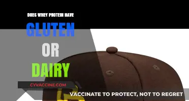 Whey Protein: Gluten-Free and Dairy-Derived Nutrition Explained