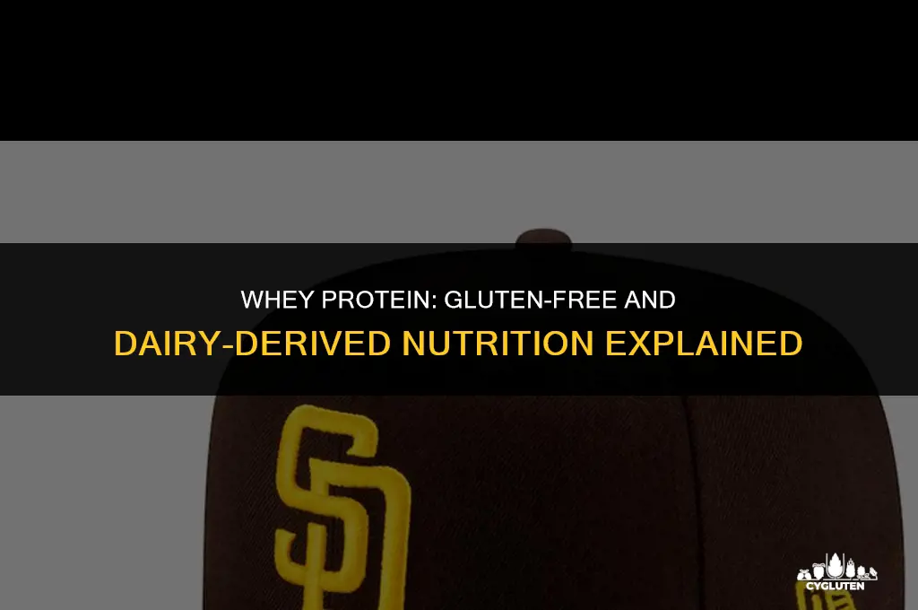 does whey protein have gluten or dairy