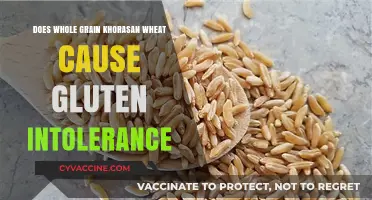 Unraveling the Mystery: Khorasan Wheat and Gluten Intolerance