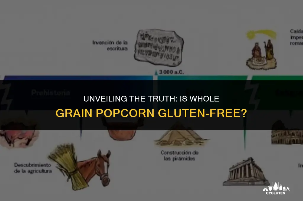does whole grain popcorn have gluten in it