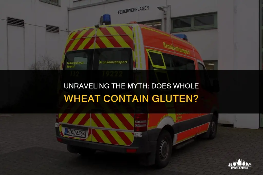 does whole wheat have gluten in it