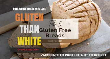 Unraveling the Gluten Myth: Whole Wheat vs. White Bread