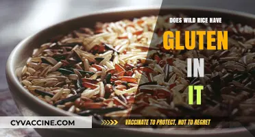 Exploring Gluten Content in Wild Rice: Facts and Myths