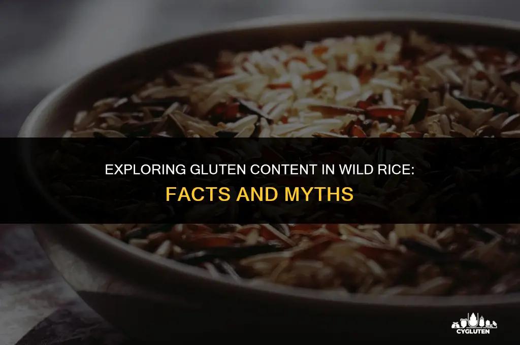 does wild rice have gluten in it
