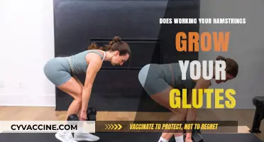 Hamstring Workouts and Glute Growth: The Surprising Connection