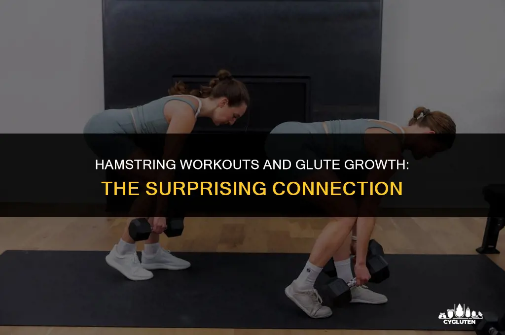 does working your hamstrings grow your glutes