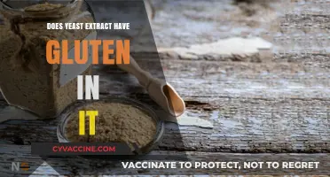 Unveiling the Truth: Yeast Extract and Gluten Content