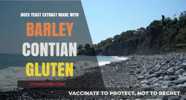 Exploring Gluten Presence in Barley-Based Yeast Extract