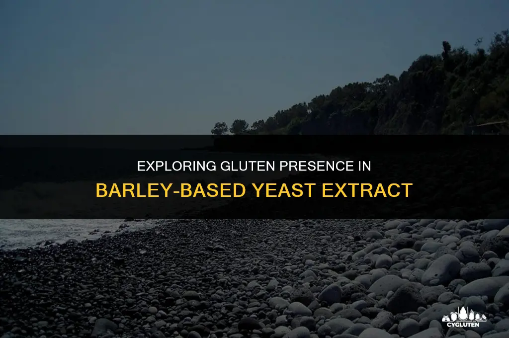 does yeast extract made with barley contian gluten