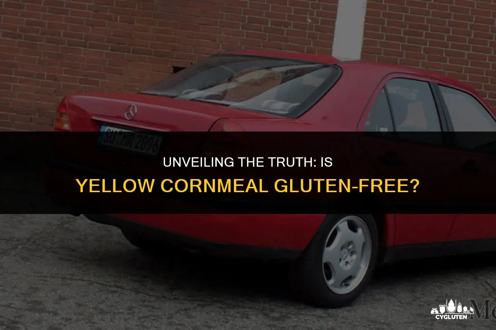does yellow corn meal have gluten in it