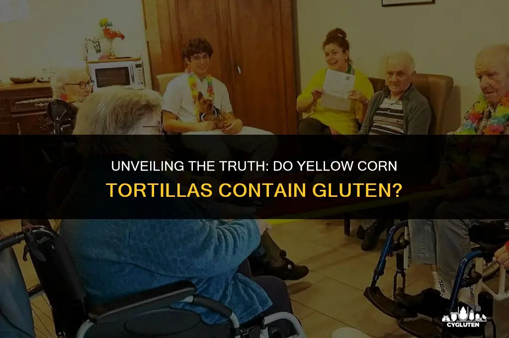 does yellow corn tortillas have a gluteen in it