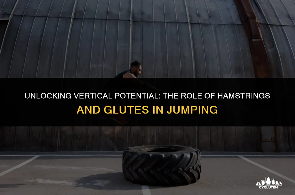 does your hamstrings and glutes help you jump higher