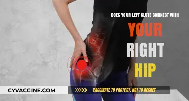 Exploring the Connection: Left Glute and Right Hip Relationship