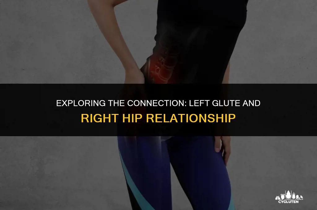 does your left glute connect with your right hip