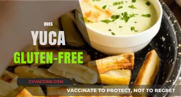 Is Yuca Gluten-Free? Discover the Truth About This Root Vegetable