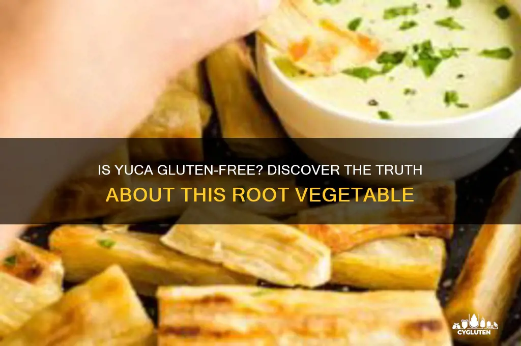 does yuca gluten-free